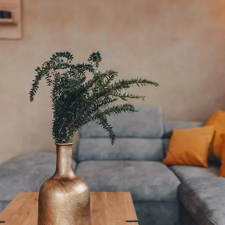 Apartment Muzini *